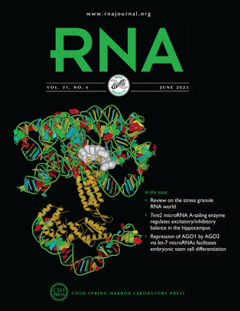 RNA 2025.06 thumbnail