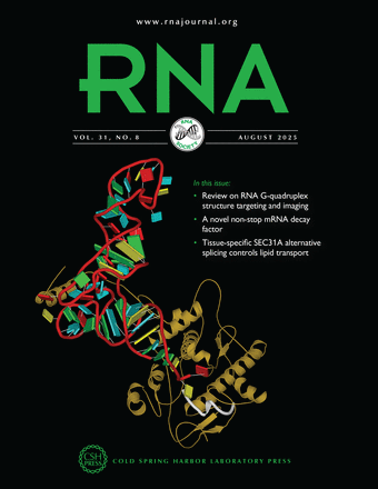 RNA 2025.08 thumbnail